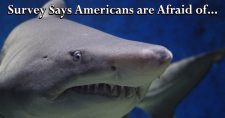 Survey says... American Diabetes Association survey found out what people fear most.