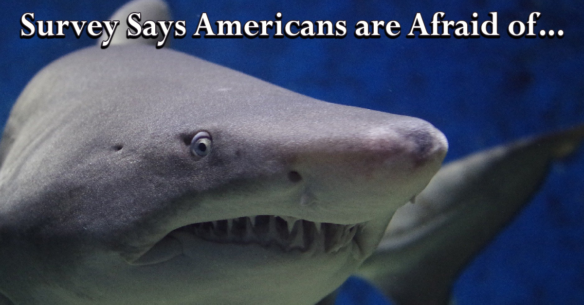 Survey says... American Diabetes Association survey found out what people fear most.