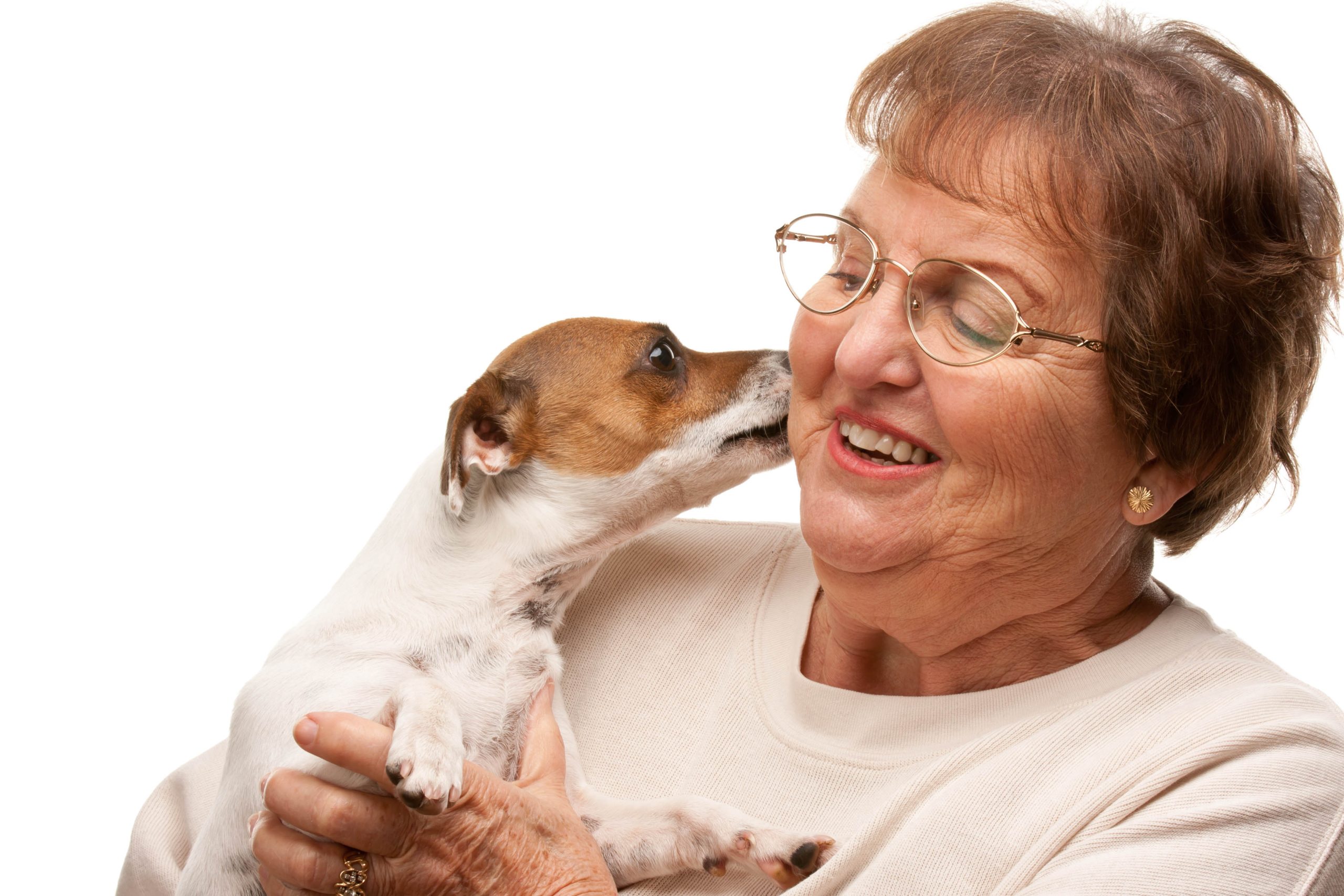 Is Owning a Pet Good for Your Heart? Happy Attractive Senior Woman with Puppy Isolated on a White Background.