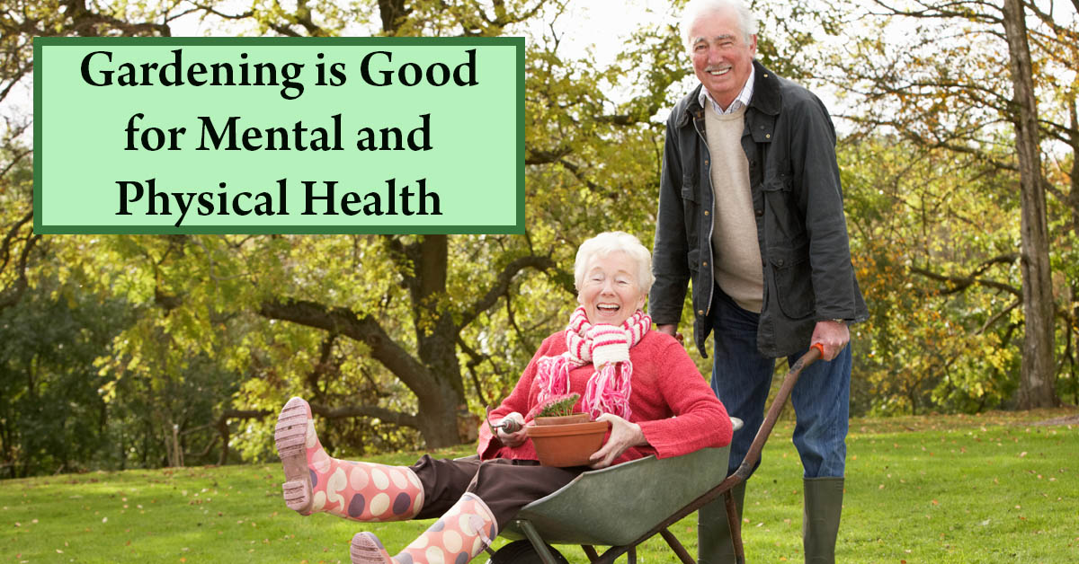 How Gardening Can Keep You Healthy, Mentally and Physically. Picture of an older caucasian male and female with the female in a wheelbarrow and both are laughing.